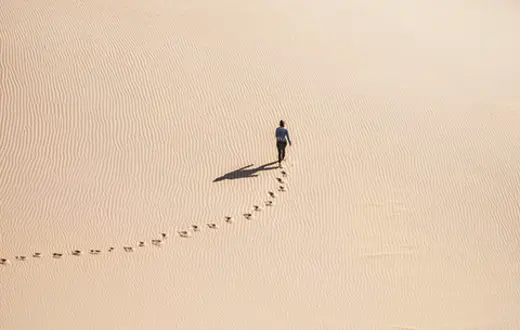 fot. Unsplash