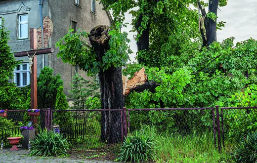 Gwałtowna burza z gradobiciem spowodowała znaczne szkody – widoczne połamane drzewa, Tymowa, Dolny Śląsk, 5 czerwca 2025 r. fot. PIOTR DZIURMAN/ REPORTER/east news