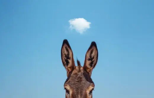 fot. Cavan Images/getty Images, archiwum prywatne