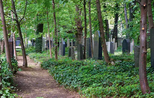 Nowy Cmentarz Żydowski w Gliwicach Fot. WIKIPEDIA