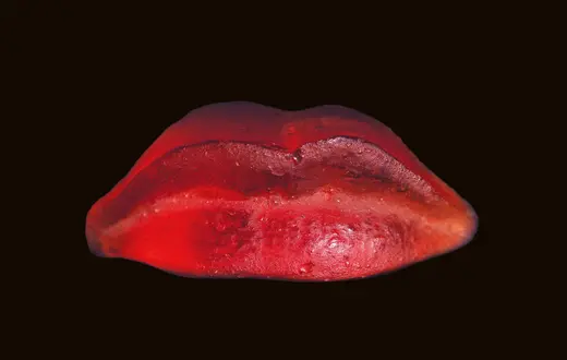 Alina Szapocznikow, Odlew ust, 1966 r. fot. Materiały Prasowe Muzeum Narodowego w Krakowie/Anna Olchawska