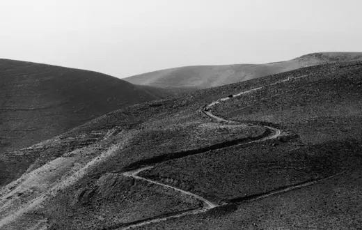 fot. Unsplash