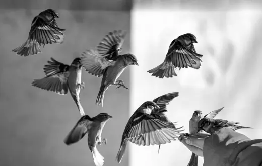 Fot. Unsplash