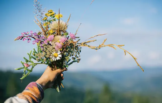 Fot. Sonya Chny/Adobe Stock