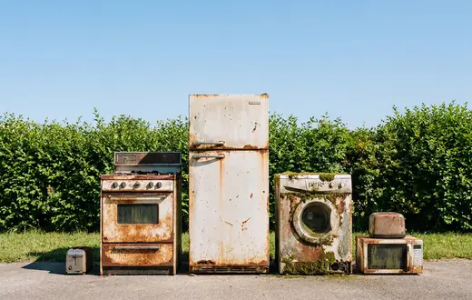 fot. Artem Zatsepilin/Adobe Stock