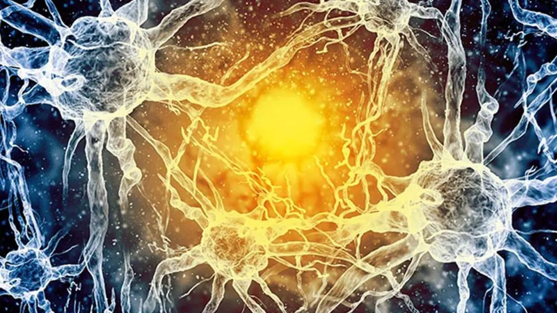 fot. Sergey Nives/fotolia