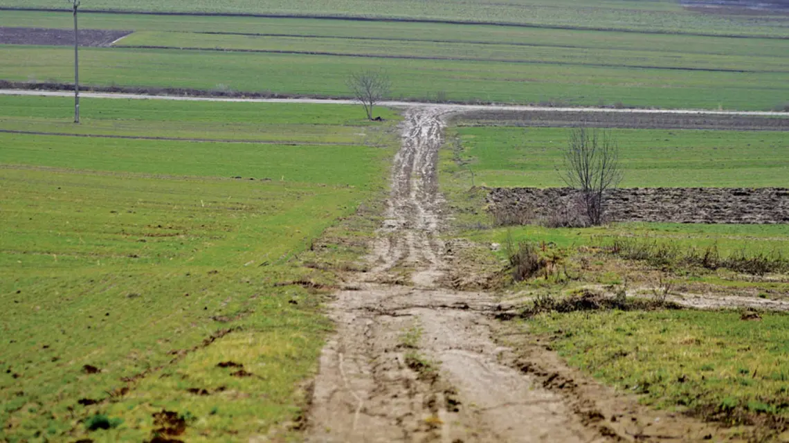 Proponowanym przez rząd sposobem na przeciwdziałanie obcemu wykupowi i spekulacji ma być wstrzymanie na 5 lat sprzedaży ziemi rolnej będącej własnością Skarbu Państwa. Fot. Darek Delmanowicz/pap