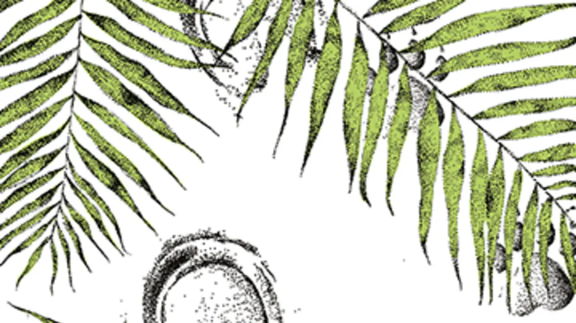Ilustracja Lidia Sieradzka.