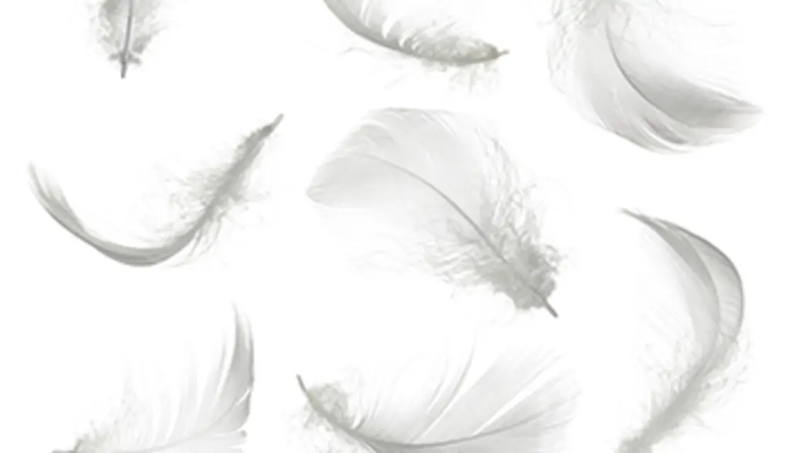 FOT. CHONES/FOTOLIA
