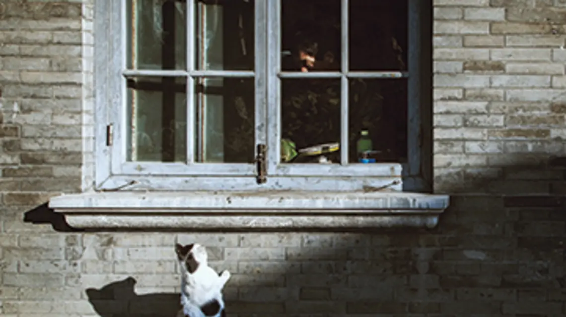 FOT.BING HAN/UNSPLASH