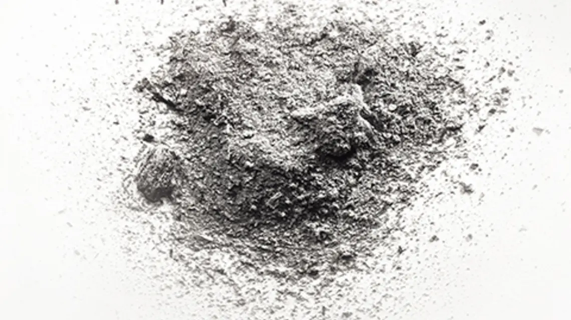 FOT. FOTOLIA