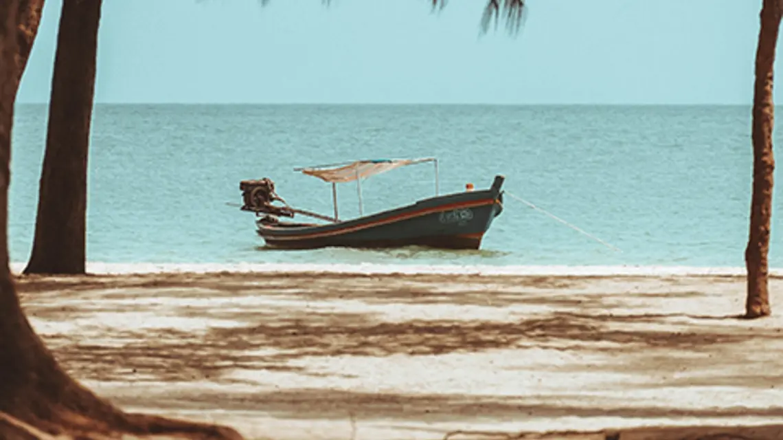 FOT. UNSPLASH