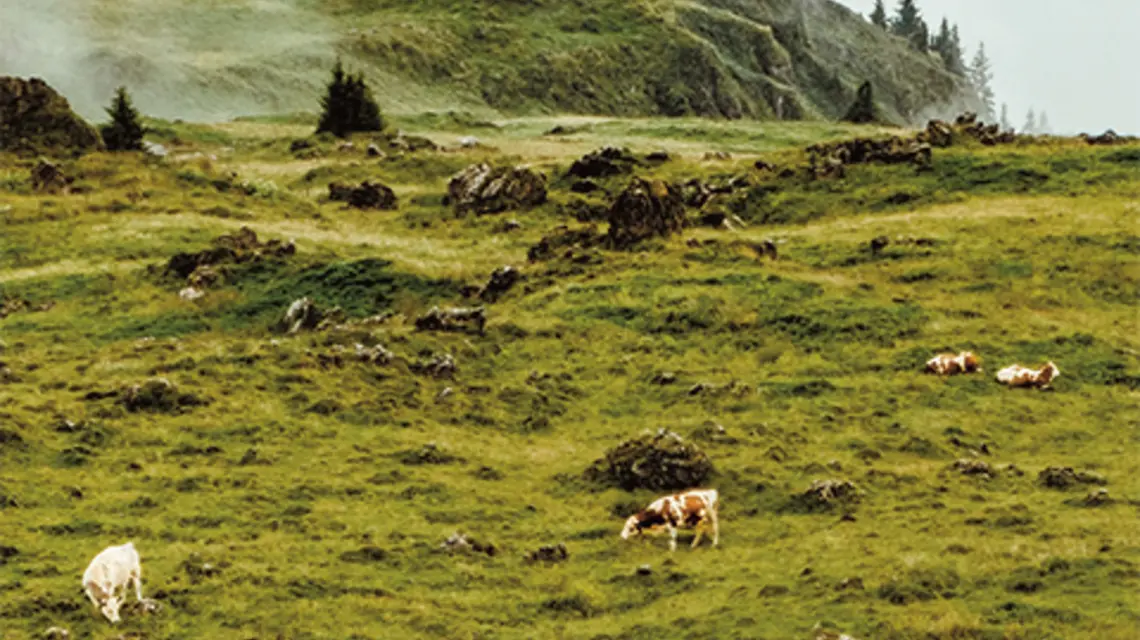 FOT. UNSPLASH