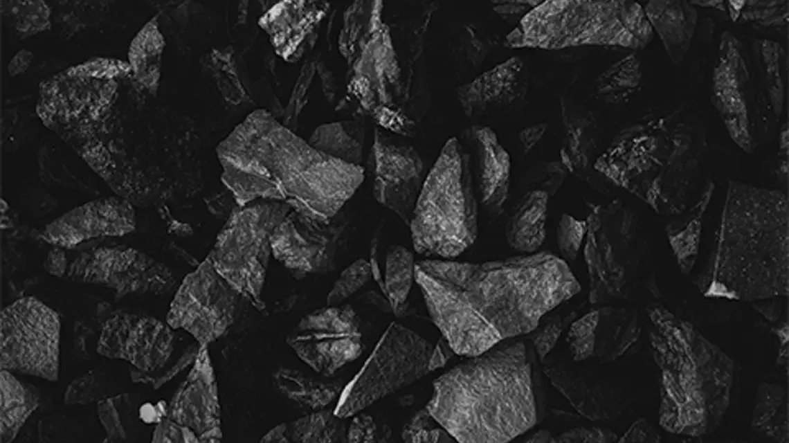 FOT. UNSPLASH