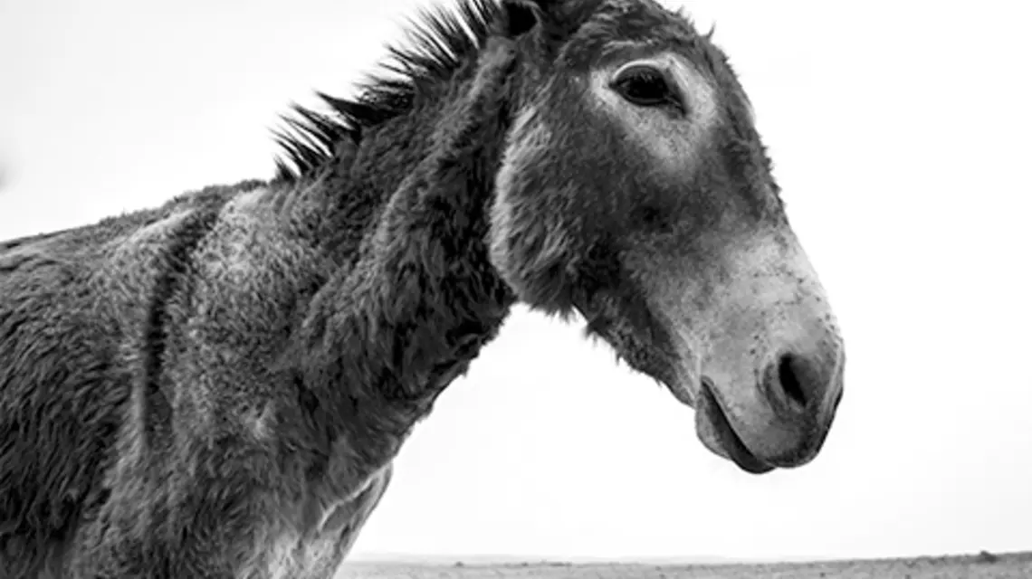 fot. Unsplash