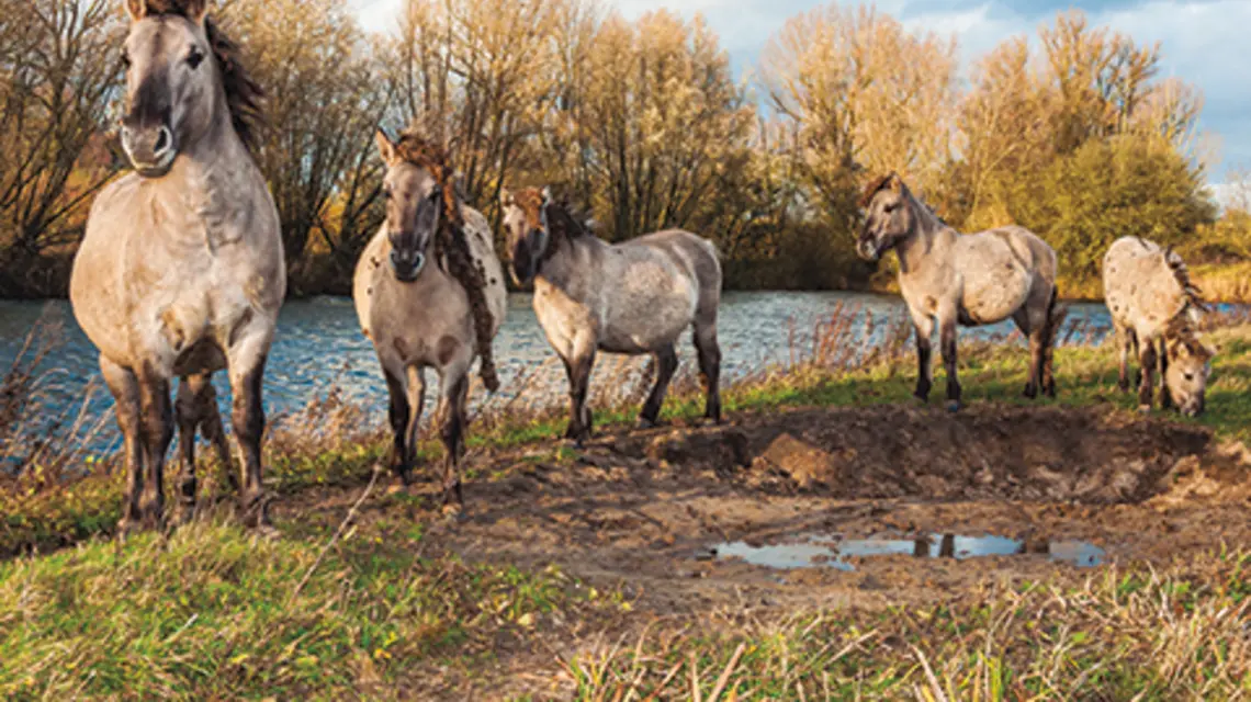fot. Ruud Morijn/Adobe Stock