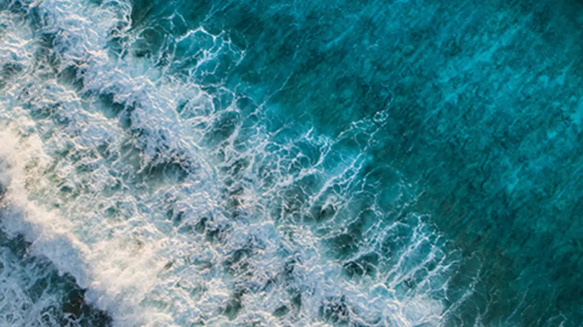 Fot. shifaaz-shamoon-oR0uERTVyD0-unsplash
