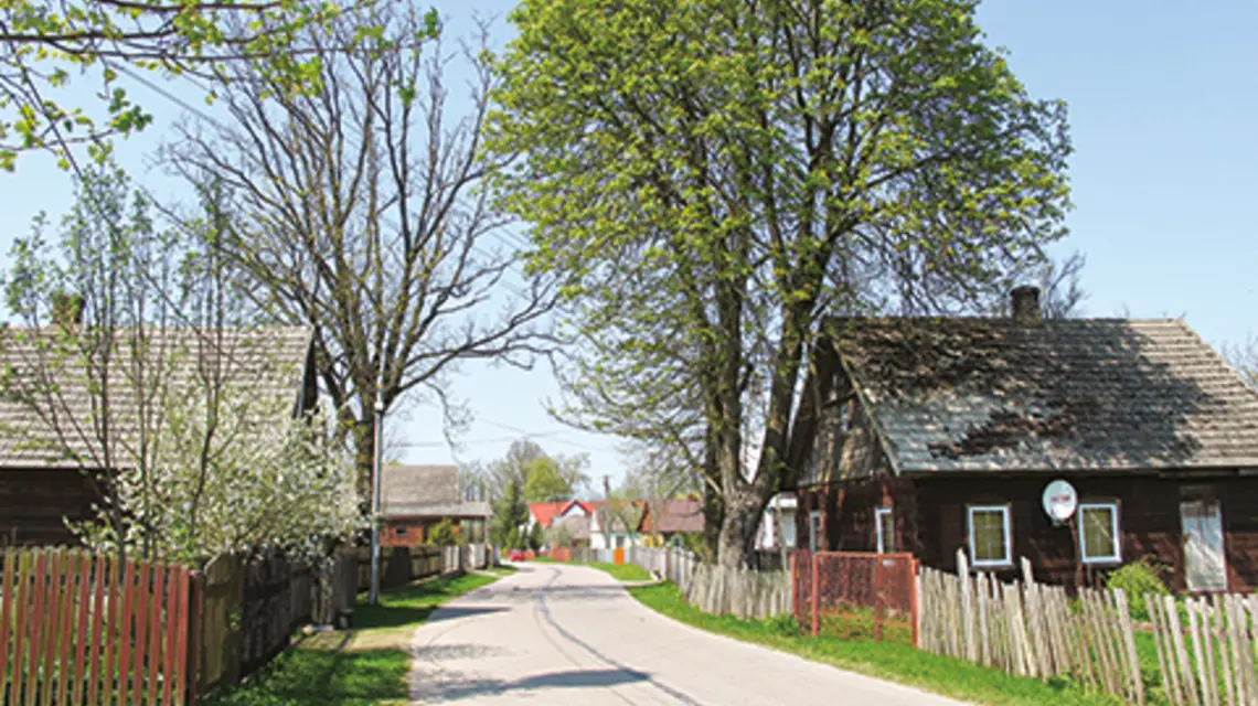 fot. Krzysztof Kundzicz/Wikipedia