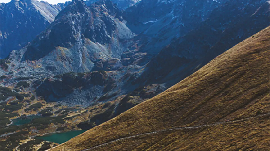 fot. Unsplash