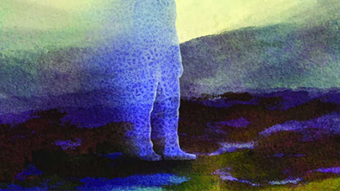 fot. Molly Ferguson Art/Adobe Stock