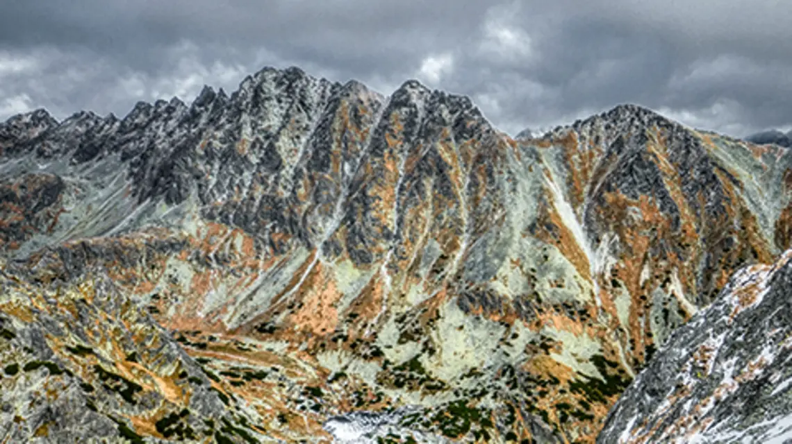 fot. Unsplash