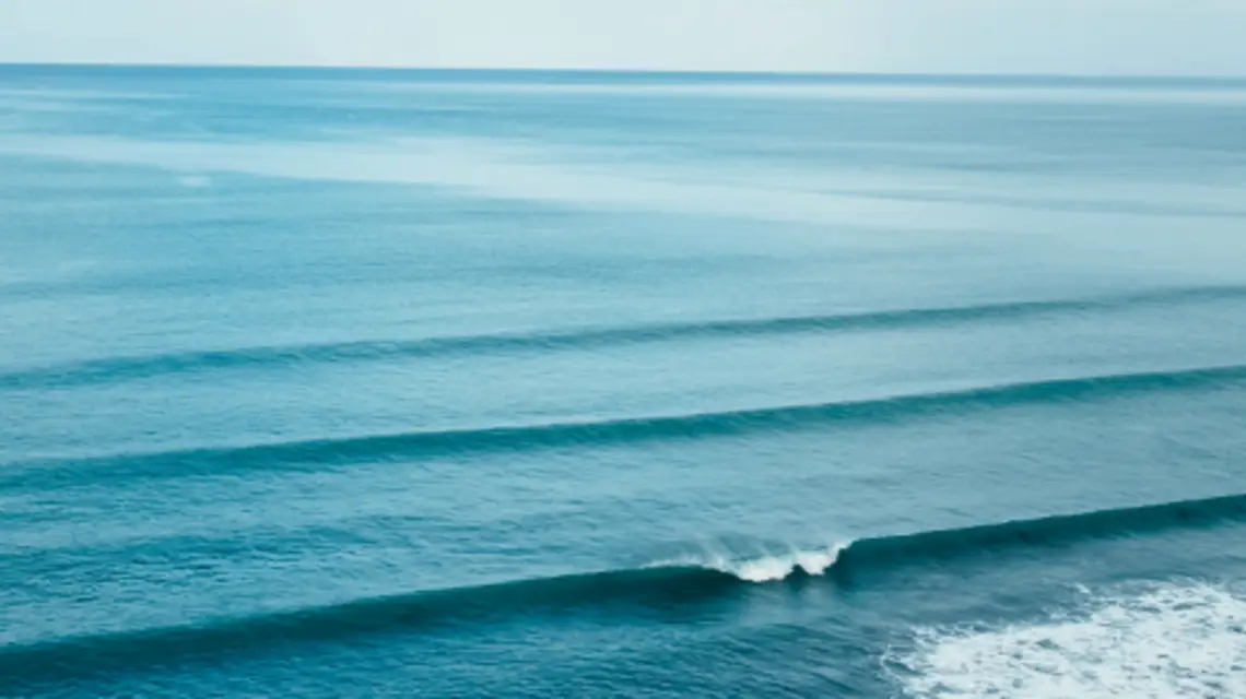 fot. Unsplash