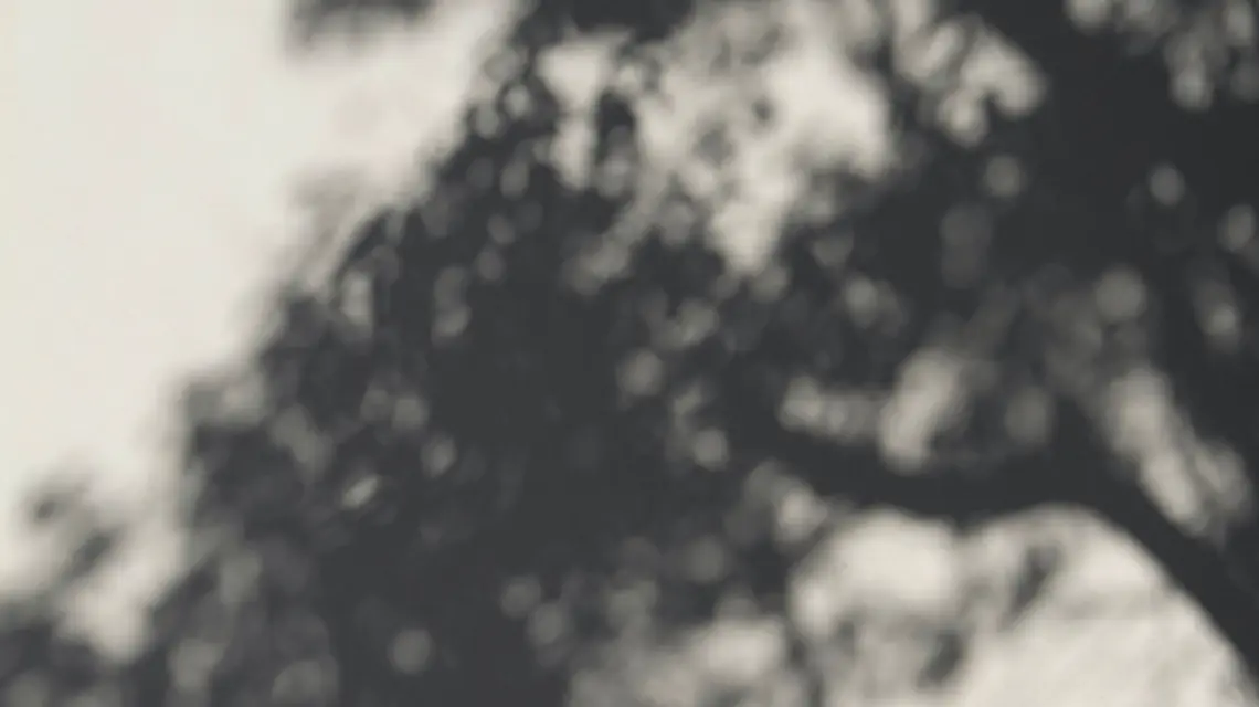 fot. Unsplash