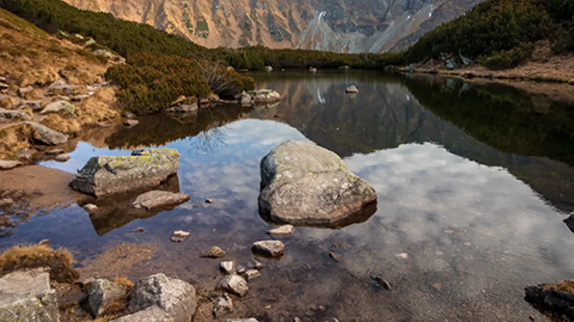 fot. Unsplash