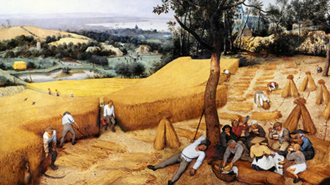 The Harvesters, obraz olejny na drewnie, ukończony przez Pietera Bruegla Starszego w 1565 r. Przedstawia czas żniw w lipcu i sierpniu lub późnym latem. fot. Wikiart