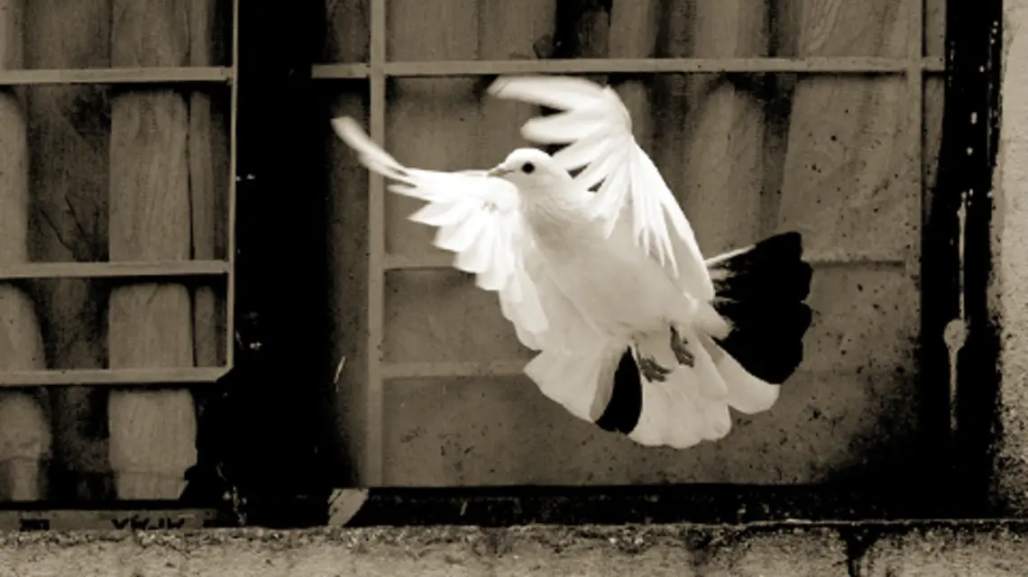 fot. Unsplash