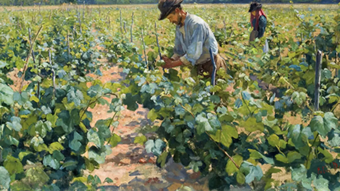 W winnicy, obraz namalowany w 1898 r. przez Elin Kleopatrę Danielson-Gambogi – fińską malarkę, znaną ze swoich realistycznych prac i portretów. fot. Wikiart