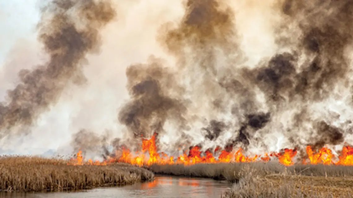 fot. Marek Maliszewski/Reporter/East News