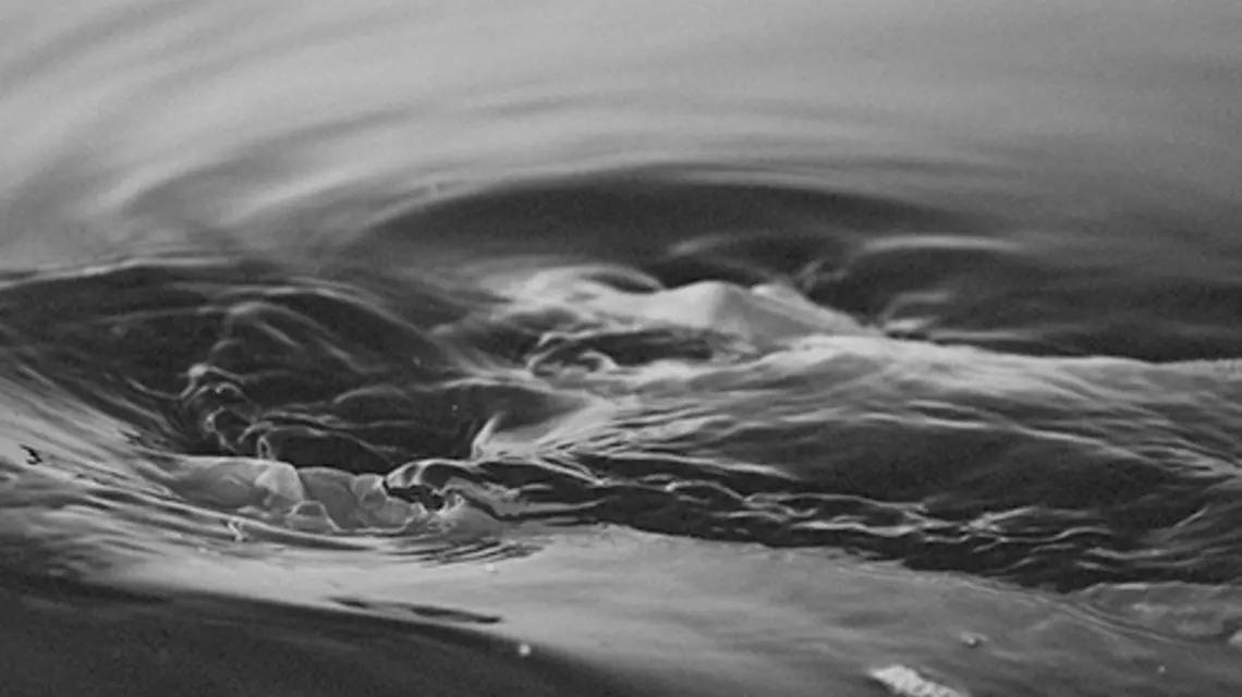fot. Unsplash