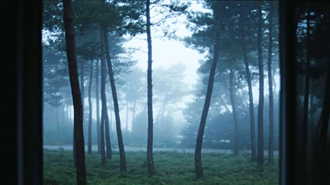 fot. Unsplash