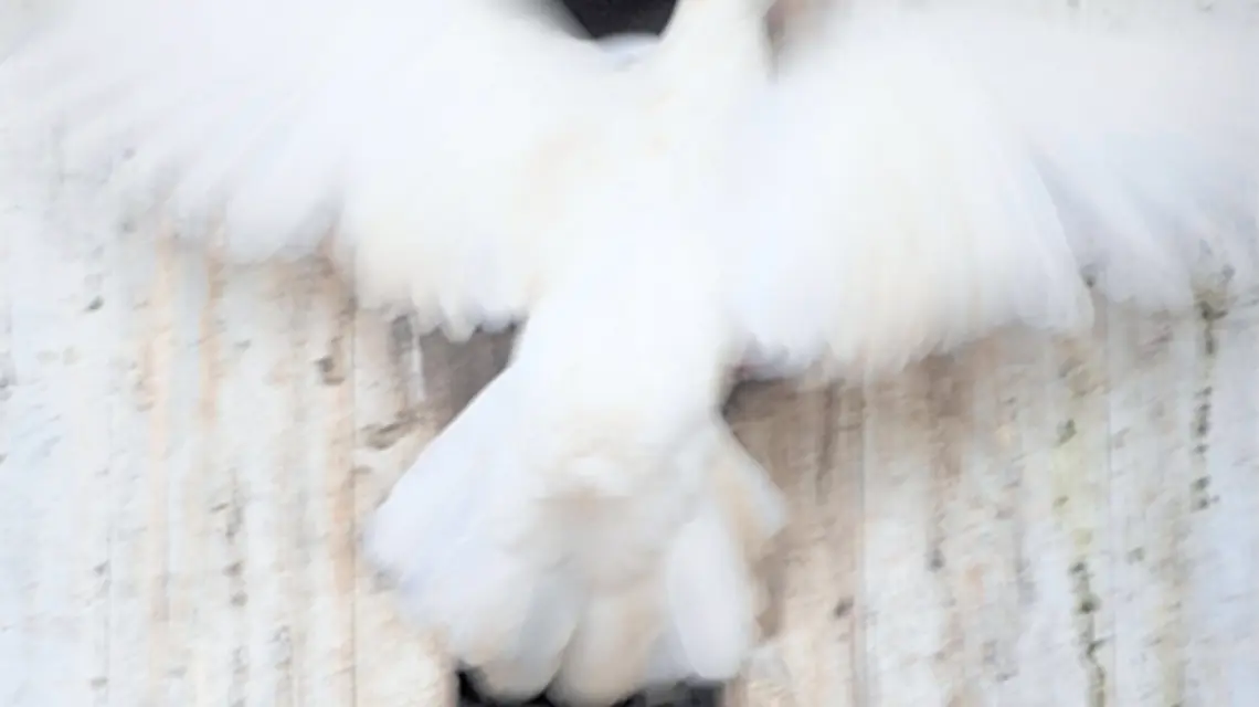 fot. WIN-Initiative/NelemanGetty Images