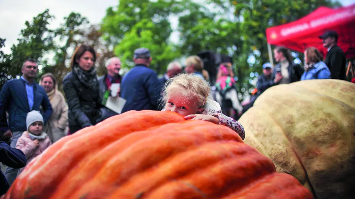 Dzień Korbola w Grzybnie, 2 października 2024 r. fot. Norbert Rzepka/ REPORTER/EAST NEWS