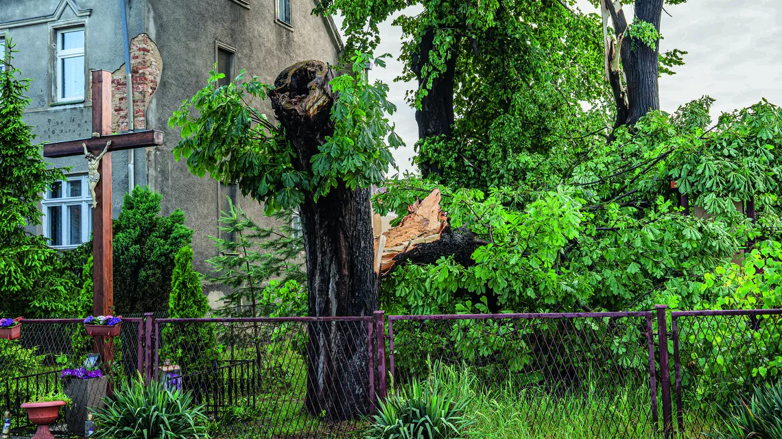 Gwałtowna burza z gradobiciem spowodowała znaczne szkody – widoczne połamane drzewa, Tymowa, Dolny Śląsk, 5 czerwca 2025 r. fot. PIOTR DZIURMAN/ REPORTER/east news