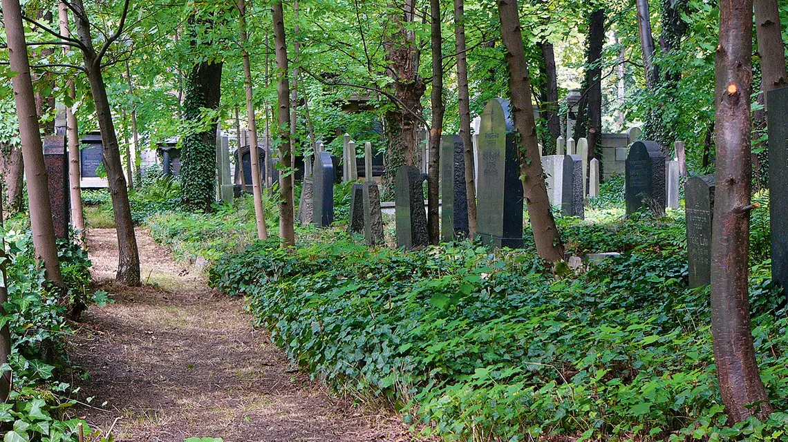 Nowy Cmentarz Żydowski w Gliwicach Fot. WIKIPEDIA