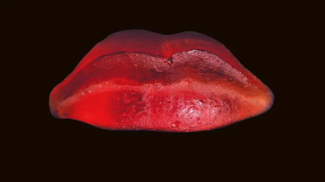 Alina Szapocznikow, Odlew ust, 1966 r. fot. Materiały Prasowe Muzeum Narodowego w Krakowie/Anna Olchawska