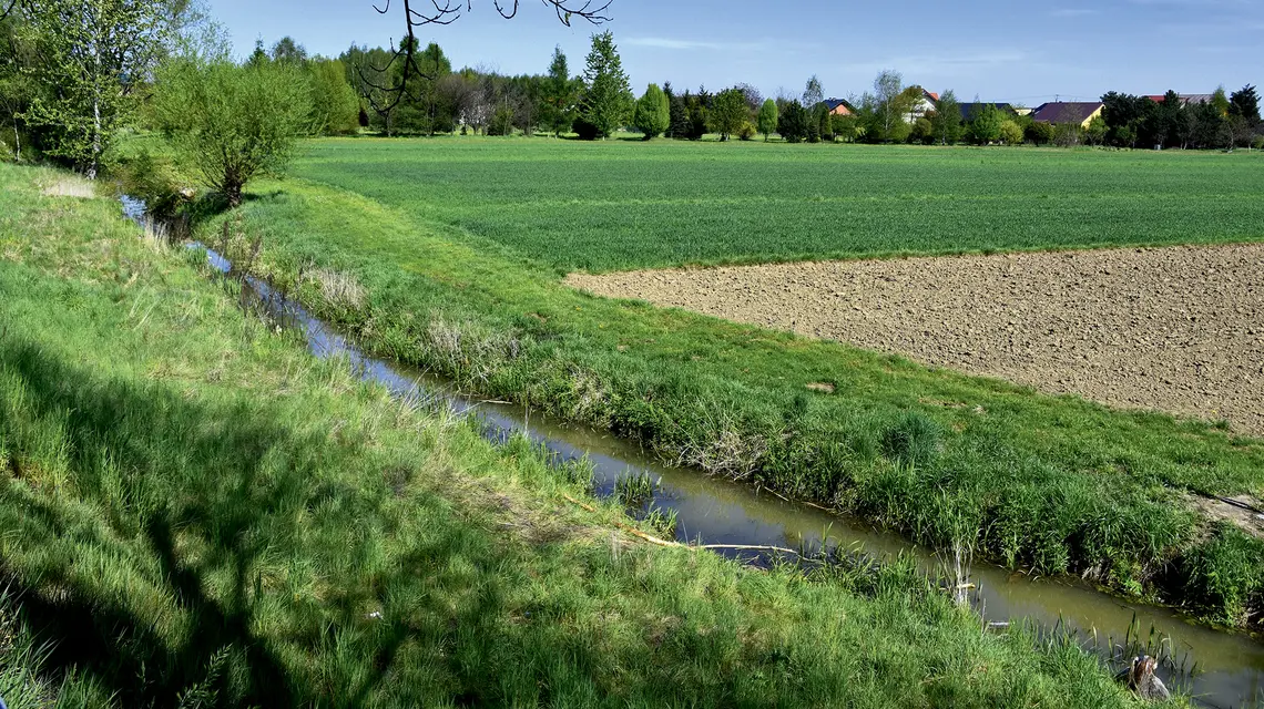 fot. Albin Marciniak/East News