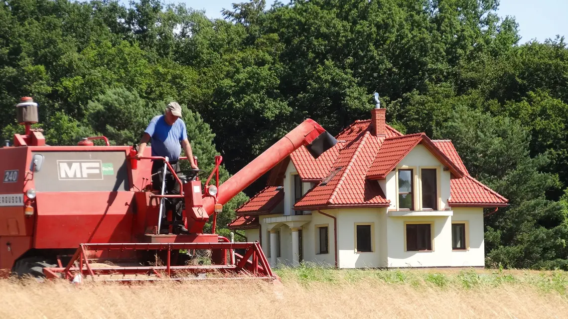 Żniwa we wsi Krasiczyn w województwie podkarpackim, lipiec 2020 r. fot. Kamil Krukiewicz/ REPORTER/EAST NEWS