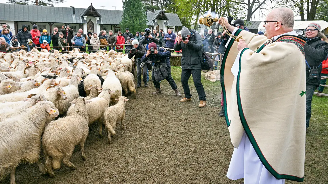 Redyk w Ludźmierzu w kwietniu 2024 r. Redyk to uroczyste wyjście pasterzy ze stadami owiec na wypas na górskich halach (redyk wiosenny), a także ich powrót z wypasu (redyk jesienny) fot. Paweł Murzyn/East News