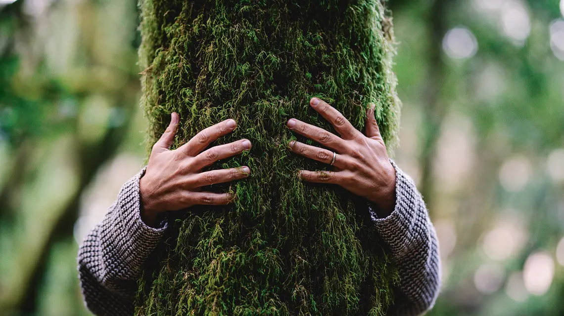 fot. Simona/Adobe Stock