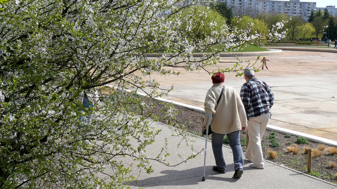 Park Bródnowski w Warszawie. Pod koniec ubiegłego roku, około 8 mln Polaków miało więcej niż 65 lat | fot. Marek Bazak/East News