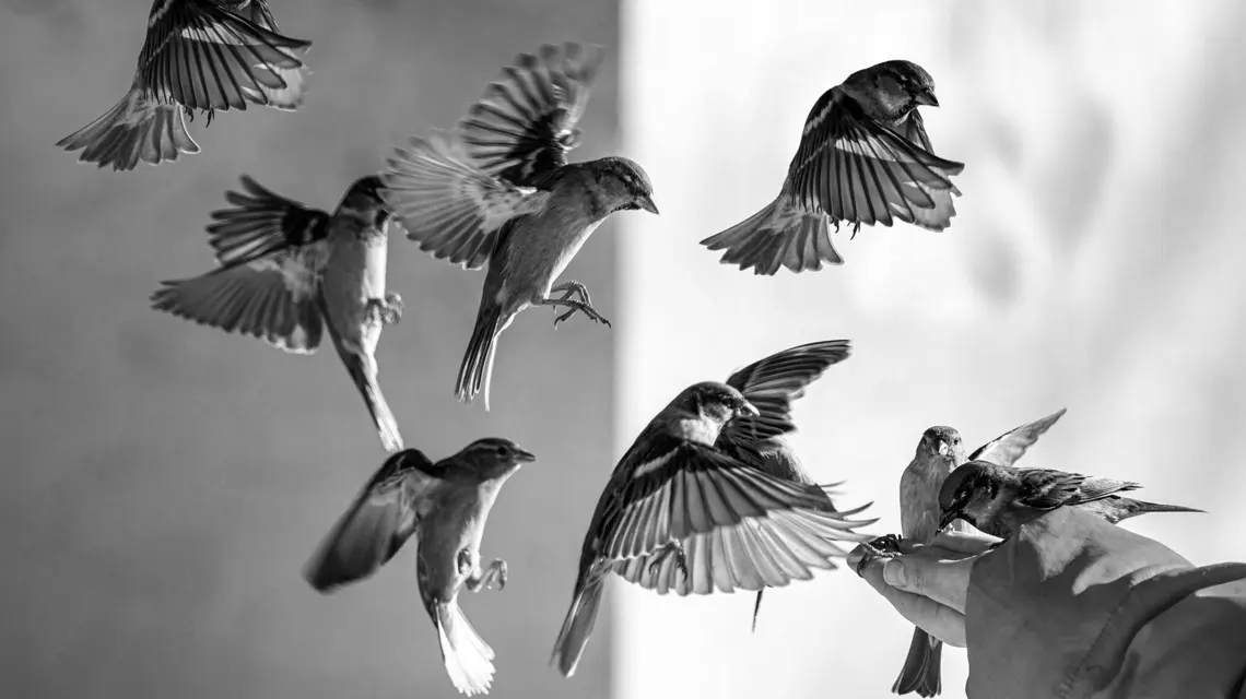 Fot. Unsplash