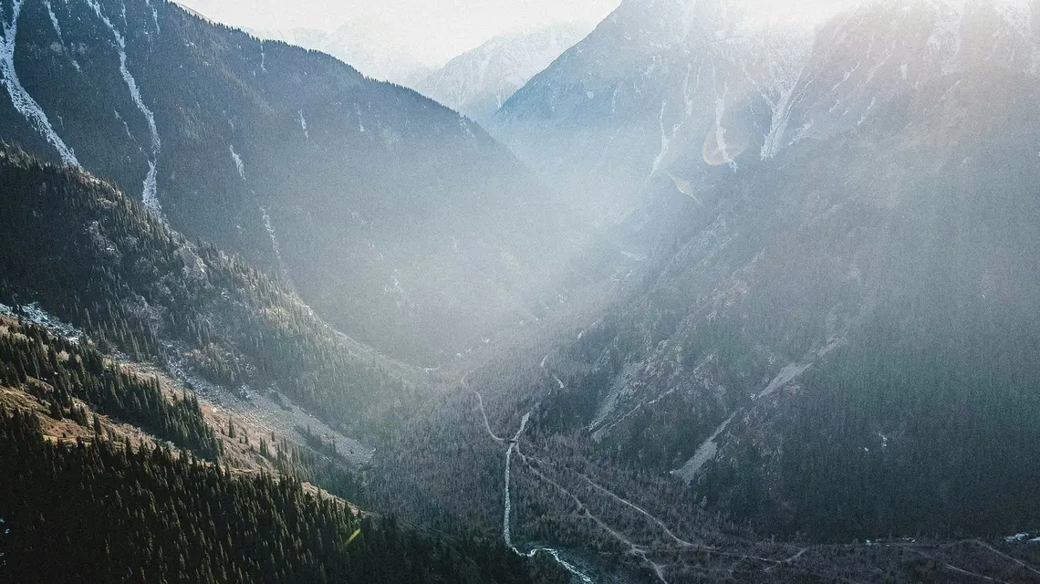 fot. Unsplash