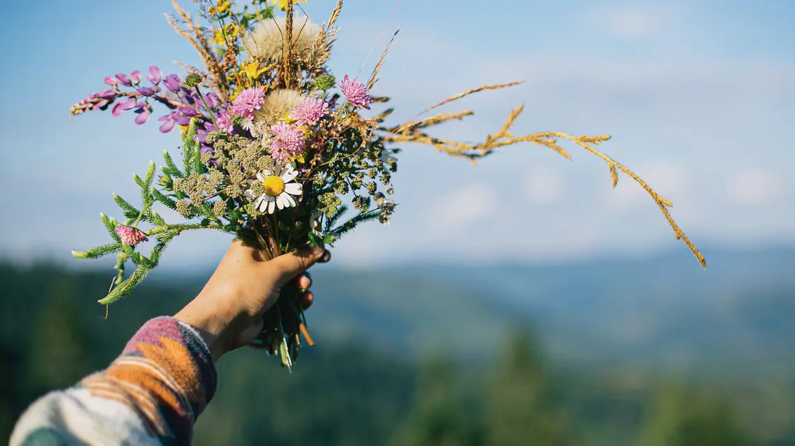 Fot. Sonya Chny/Adobe Stock