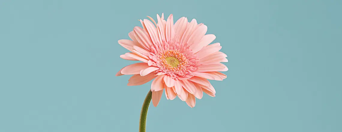 fot. Jeff Bergen/peopleimages.com/Adobe Stock