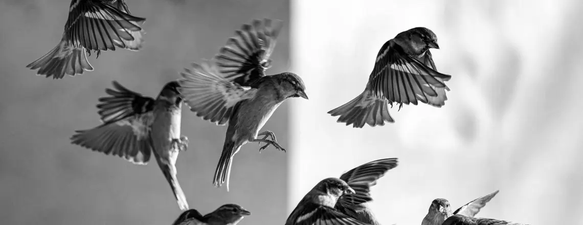 Fot. Unsplash