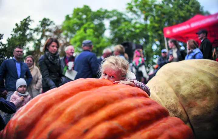 Dzień Korbola w Grzybnie, 2 października 2024 r. fot. Norbert Rzepka/ REPORTER/EAST NEWS